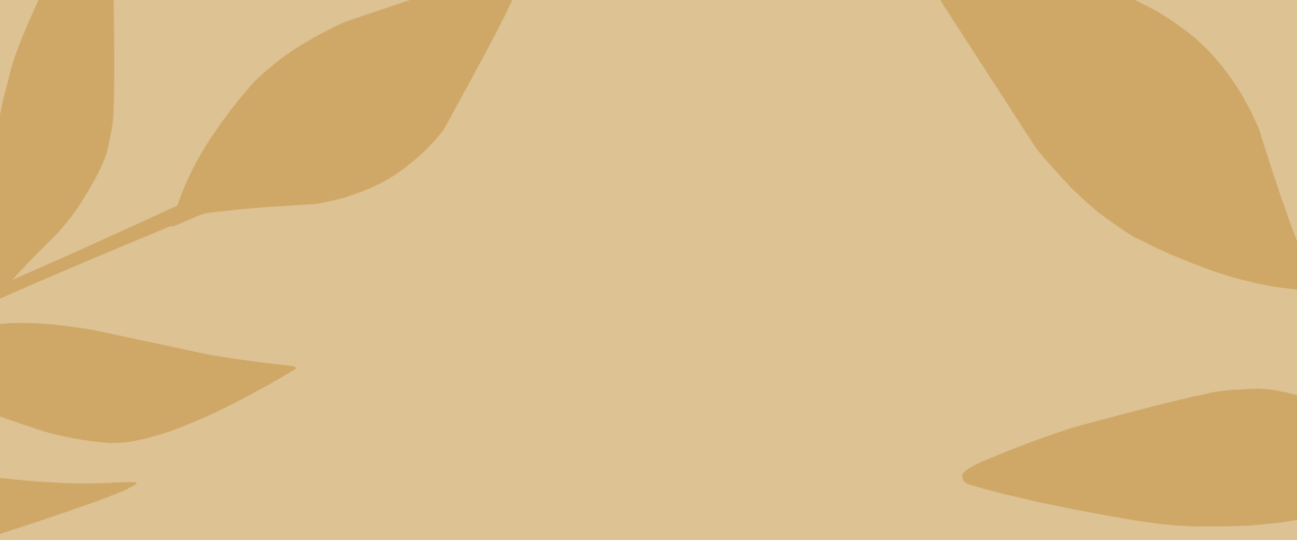 WomEnsure hatterek 1440 x 600 keppont 3 - Womensure - The Golden Bridge Mentorship